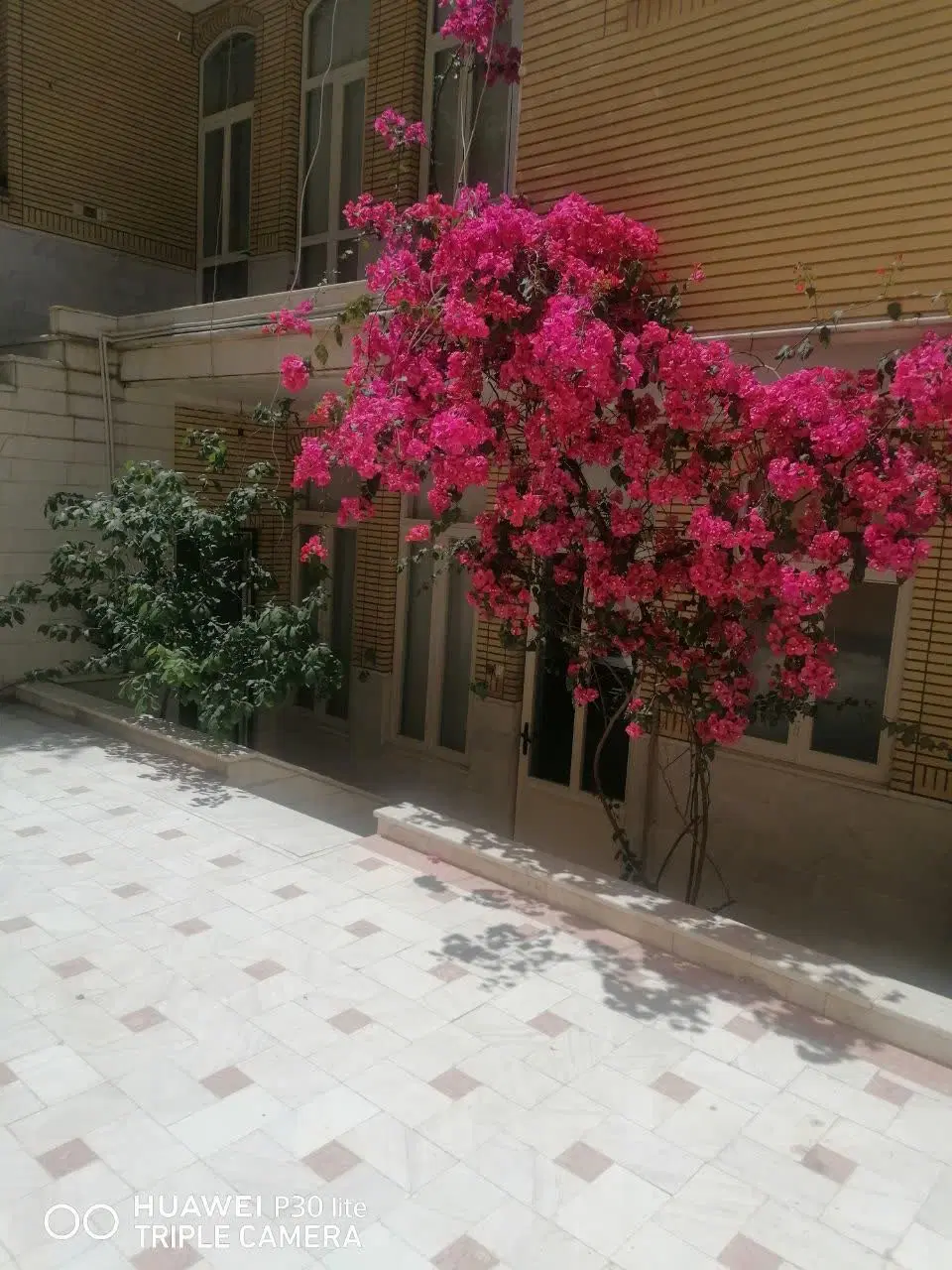 زیرزمین جنوبی بسیار تمیز وشیک