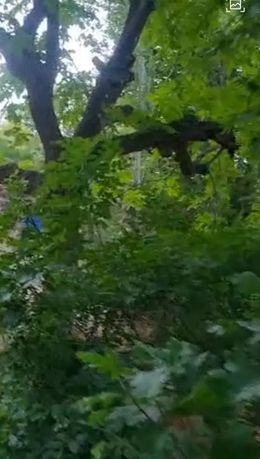 ملکی سند ۶ دانگ .۵۰ متر  داخل زمین ۱۲۰۰ متر
