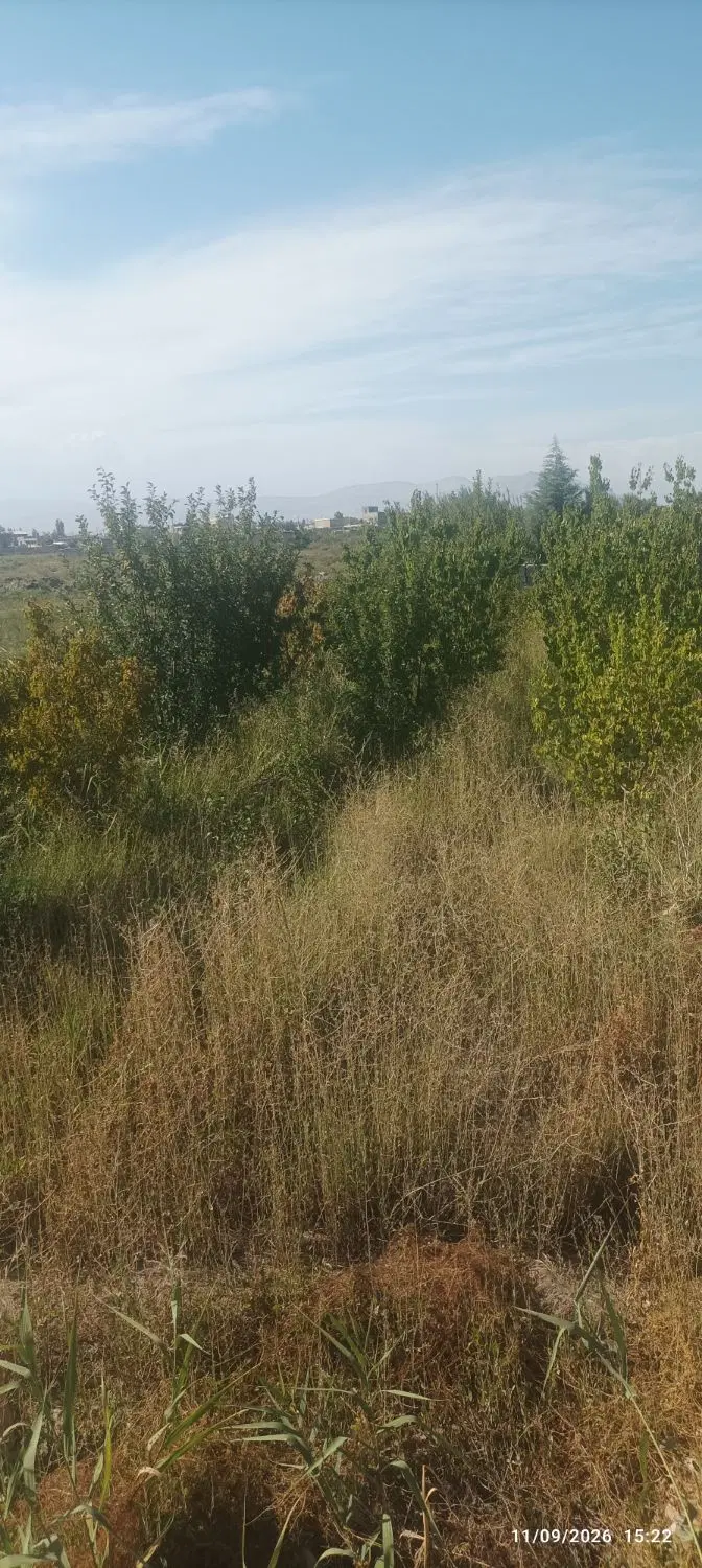 باغ چهار دیواری یورقون آباد