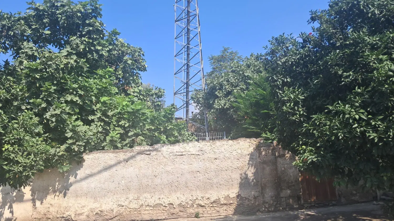 زمین