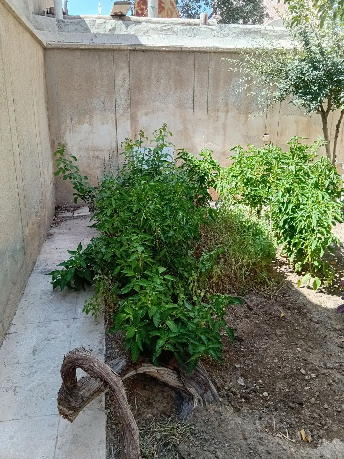 رهن و اجاره طبقه همکف به مساحت ۸۰ متر