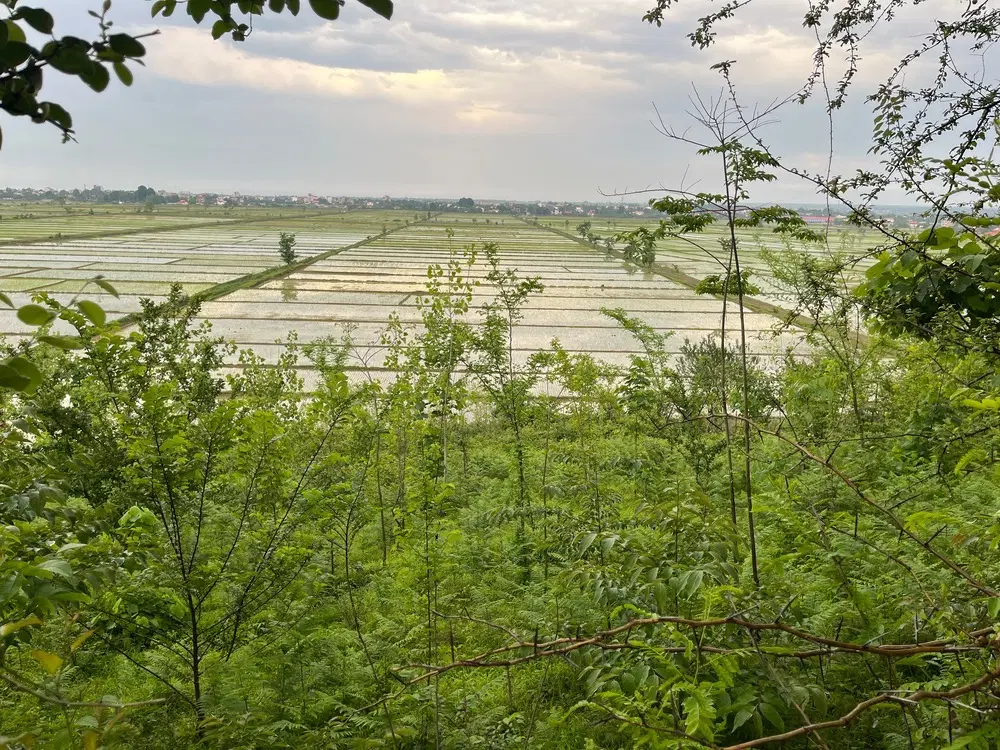 فروش زمین باغی