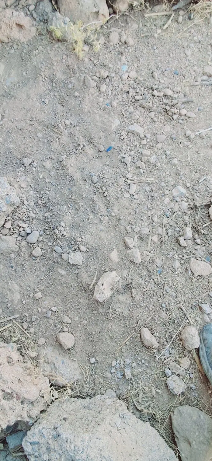 زمین مسکونی
