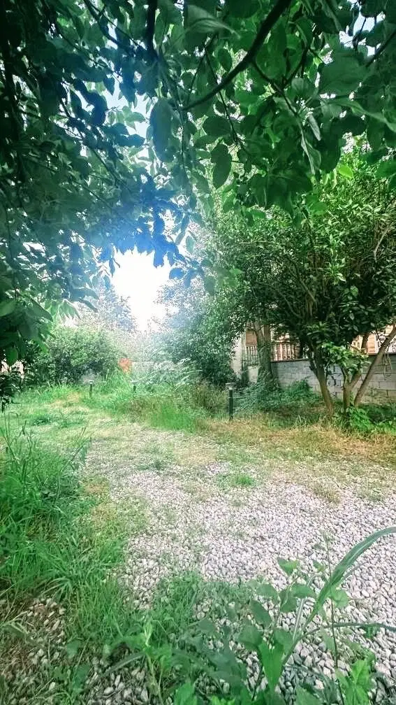 زمین ۱۵۰تا۳۰۰مترمناسب ساخت چسبیده به جنگل