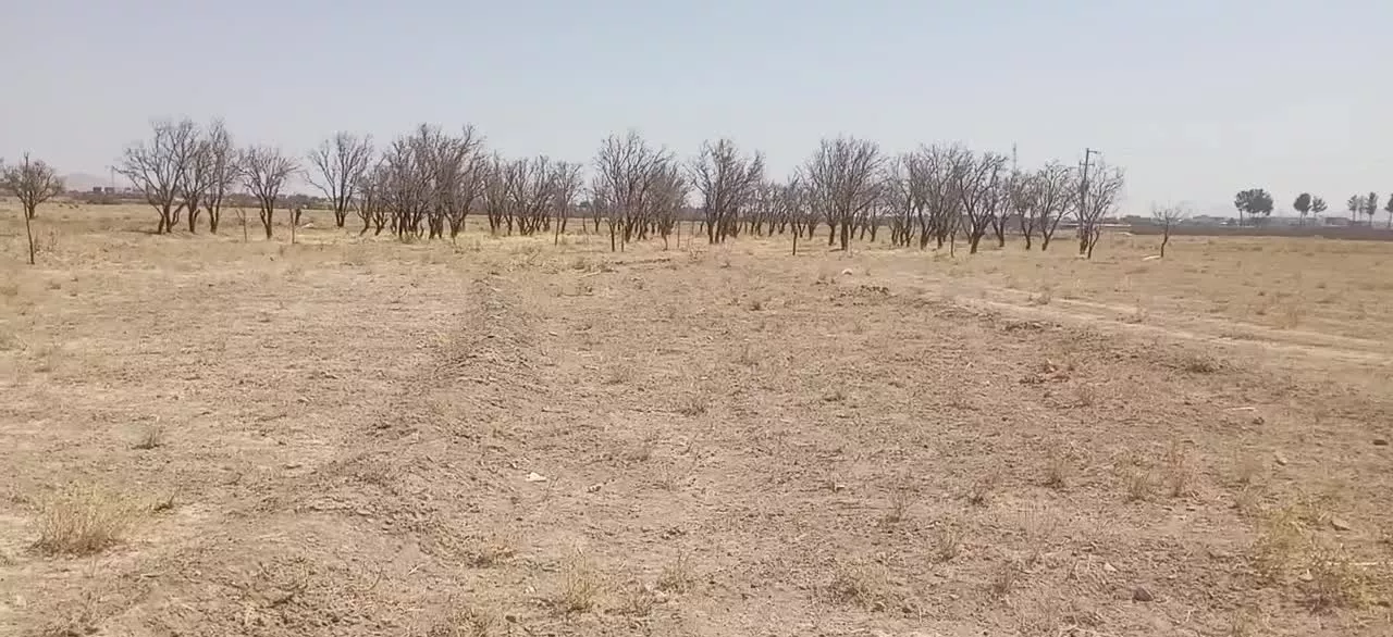 زمین در آخر خرداد