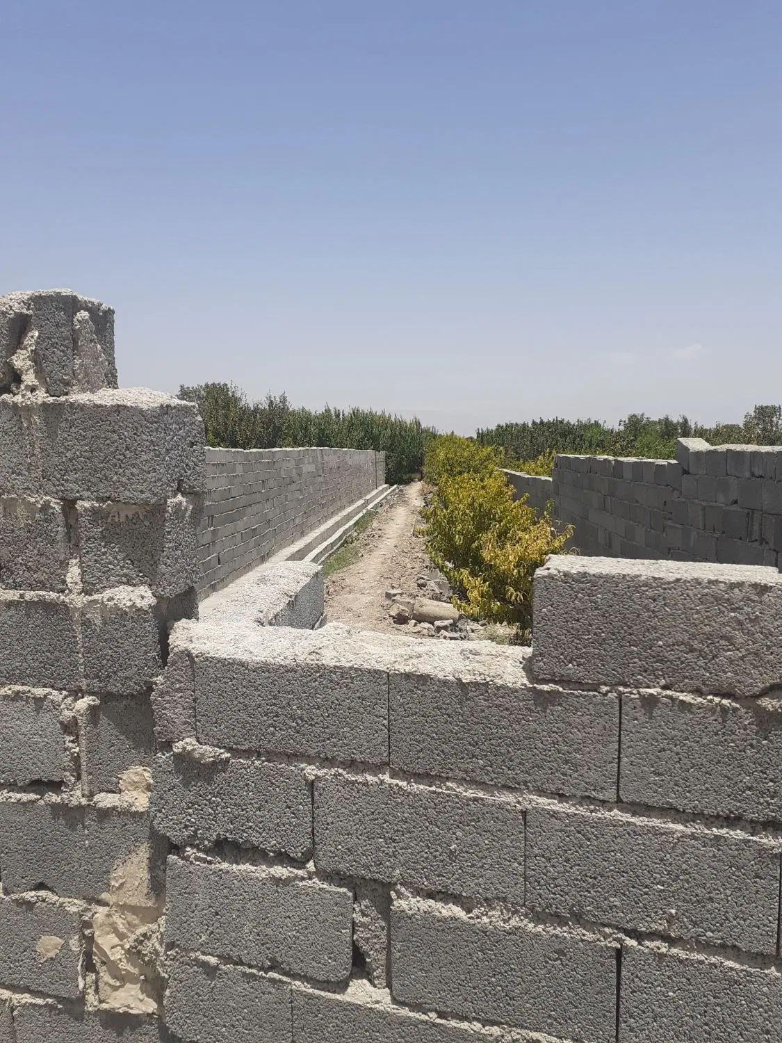 ۴۸۵متر دهشاد بالا سند دار
