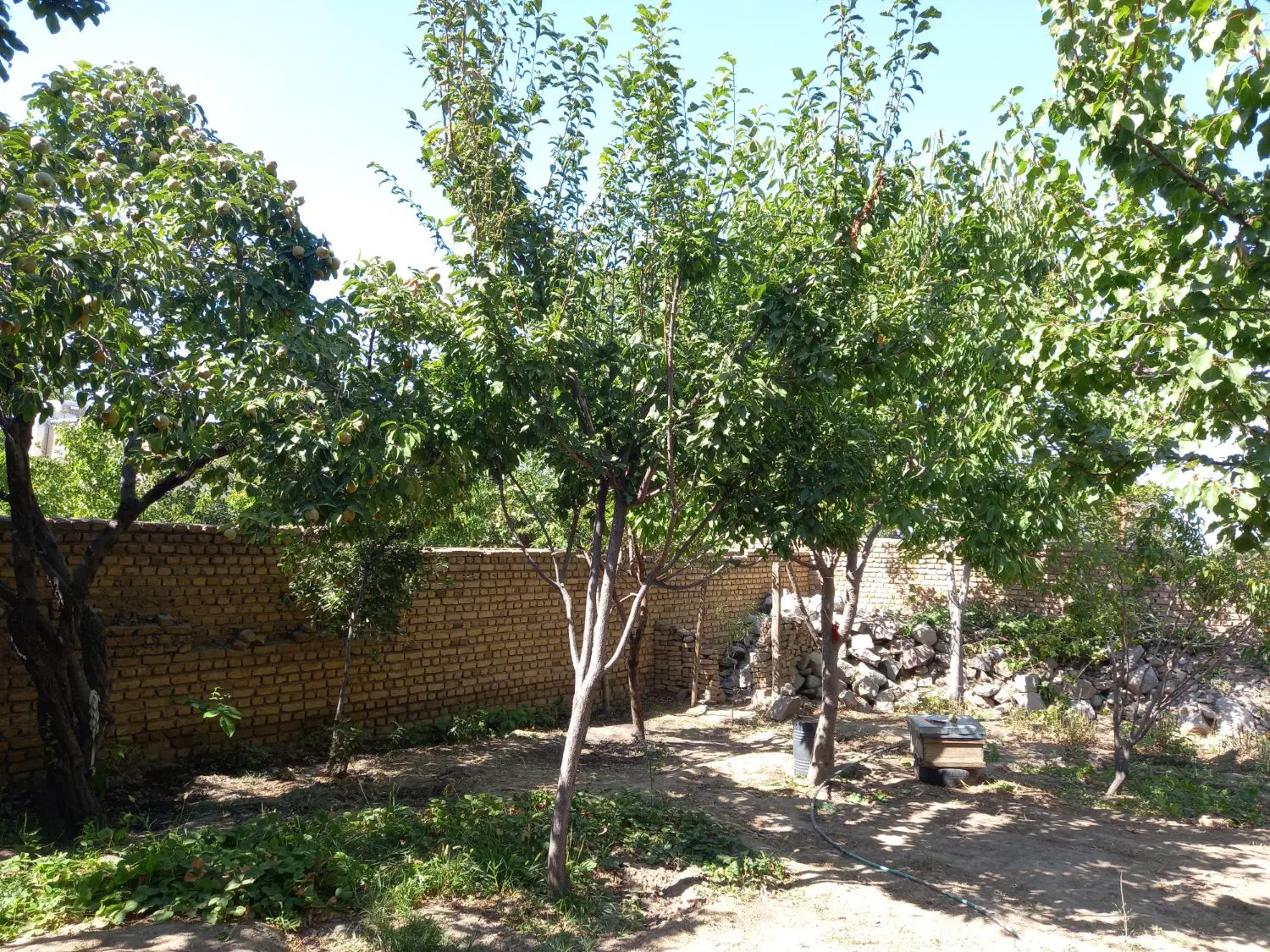 زمین مسکونی