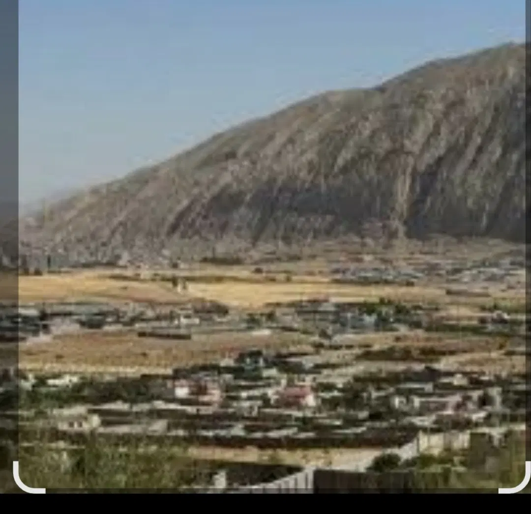 زمین باغی زرقان 500متری