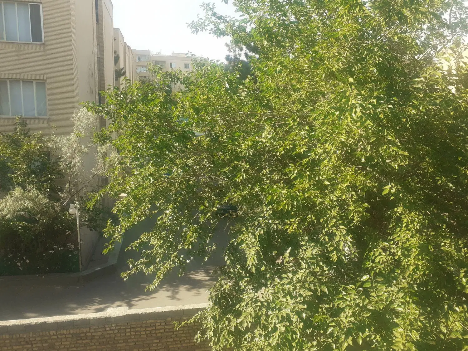 فروش زمین مسکونی