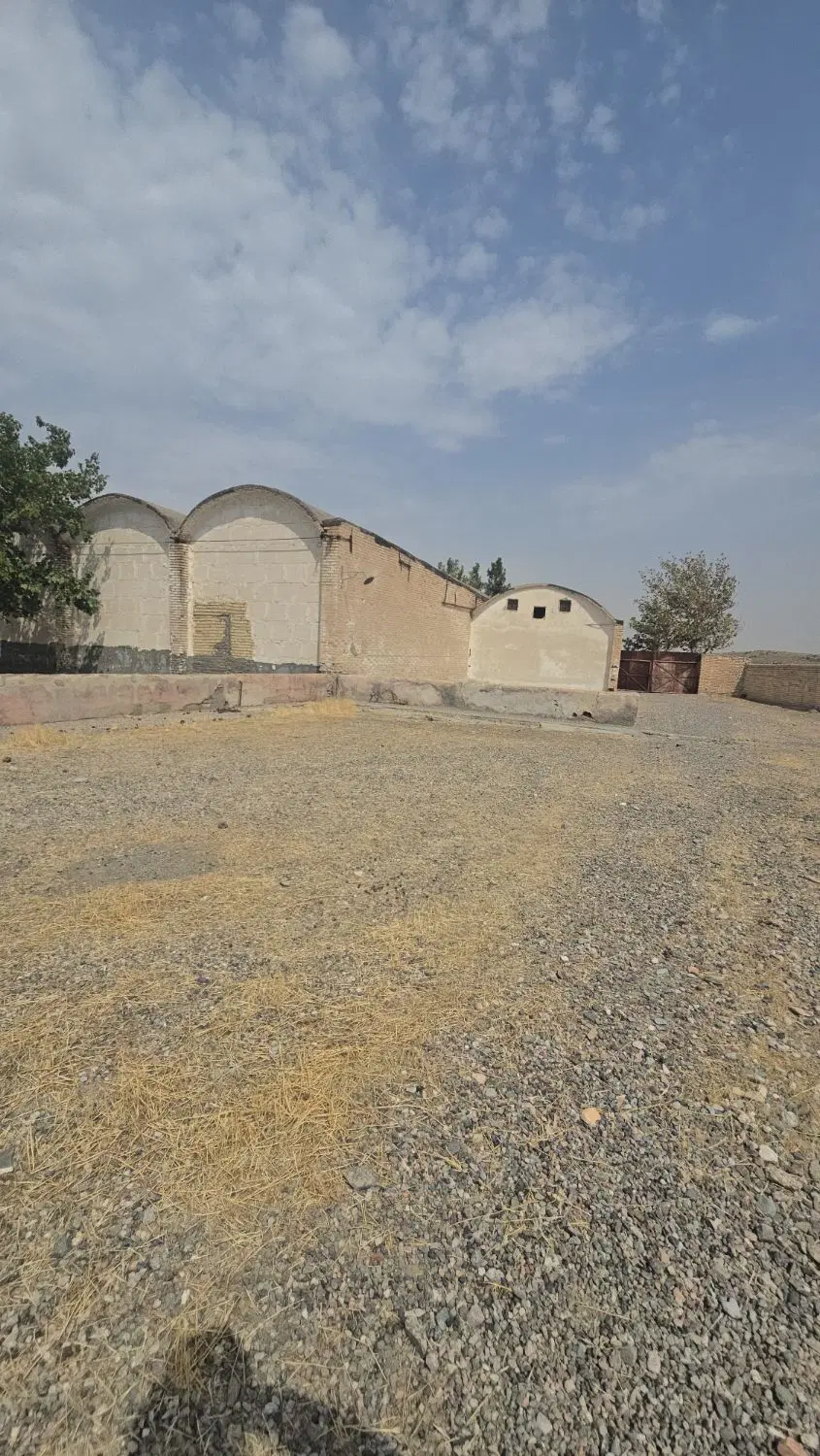 زمین ۳ هکتار ساغشک