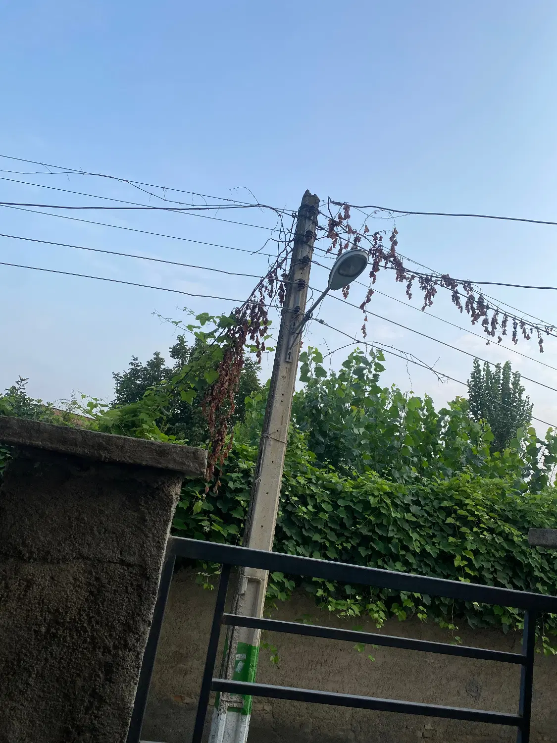 خونه اجاره ایی