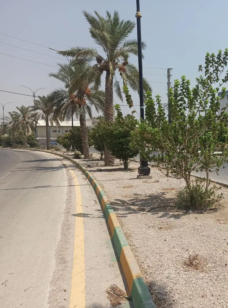 فروش زمین تجاری ولیعصر جم