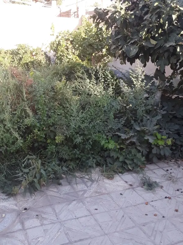 خانه ویلایی ۵۹۰ متر