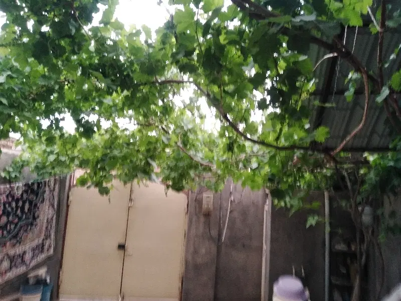 خانه ویلایی