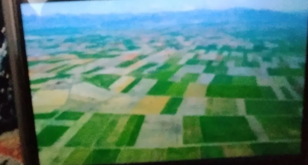 زمین کشاورزی