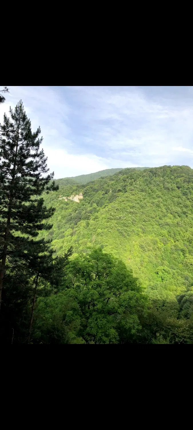 زمین مسکونی