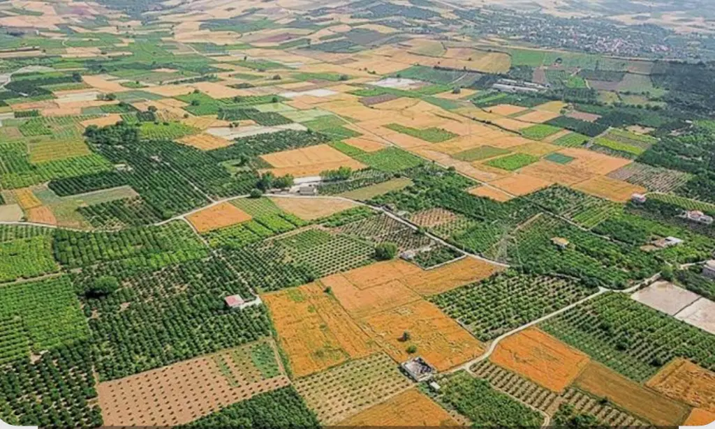 زمین کشاورزی،کوهدشت