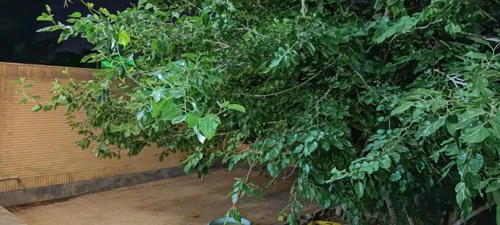 ویلایی ۲خواب ۲۲۰متری