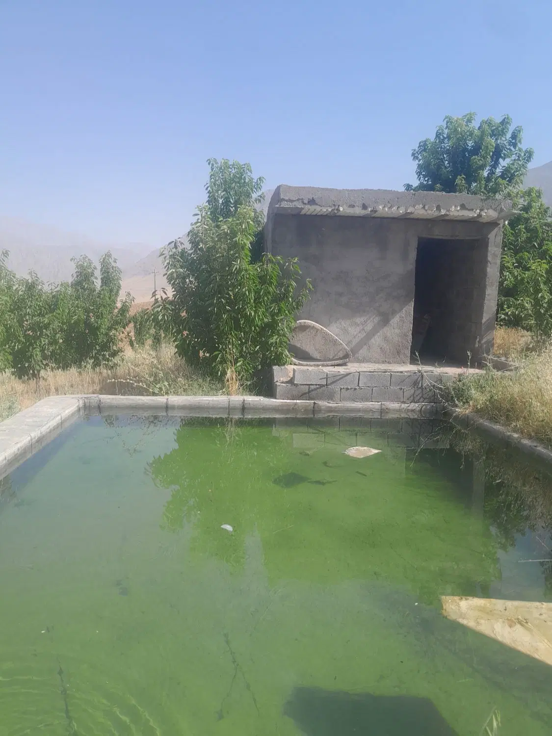 باغ مثمر گیلاس