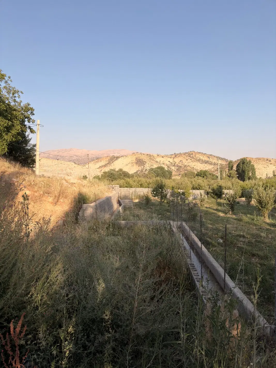 باغ ثمری گنجگان