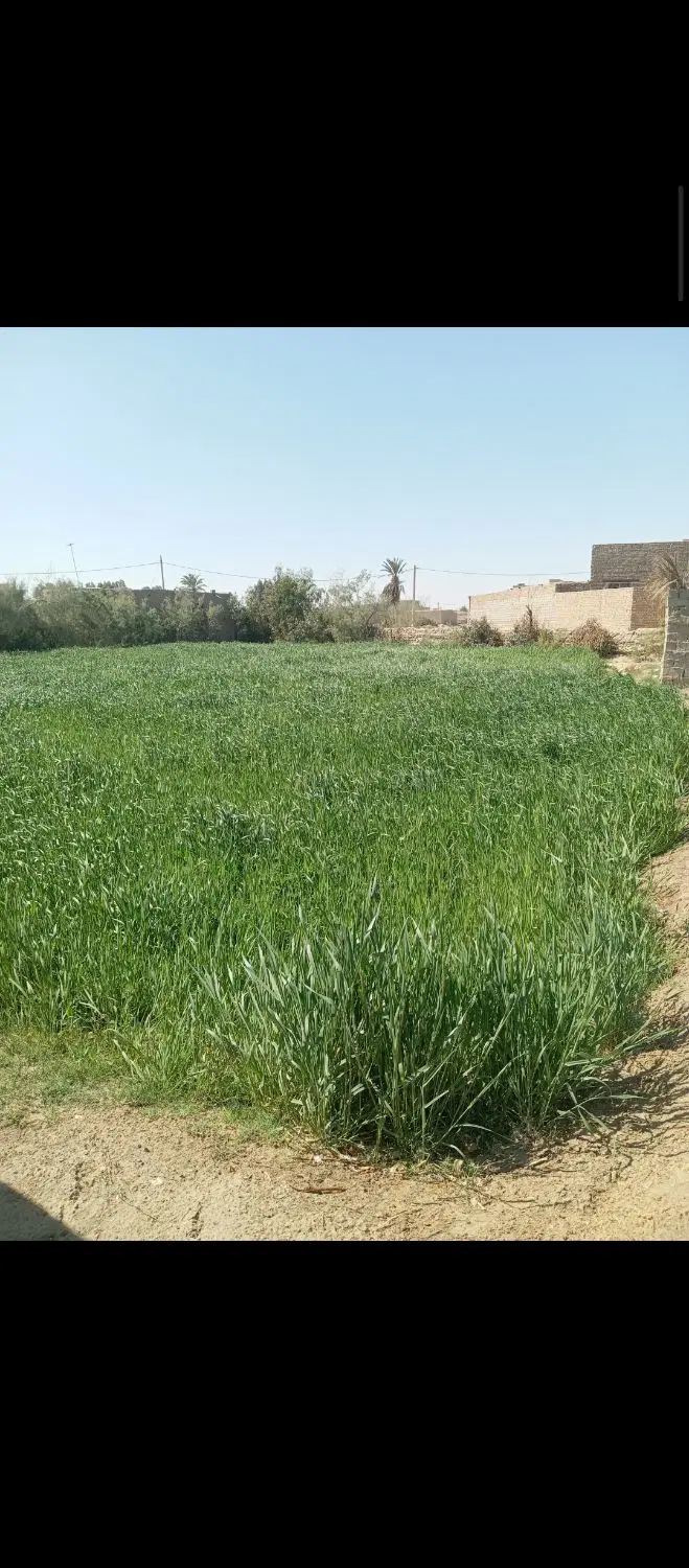 زمین ۴۰۰ متری، موقعیت طلایی فرصتی خوب
