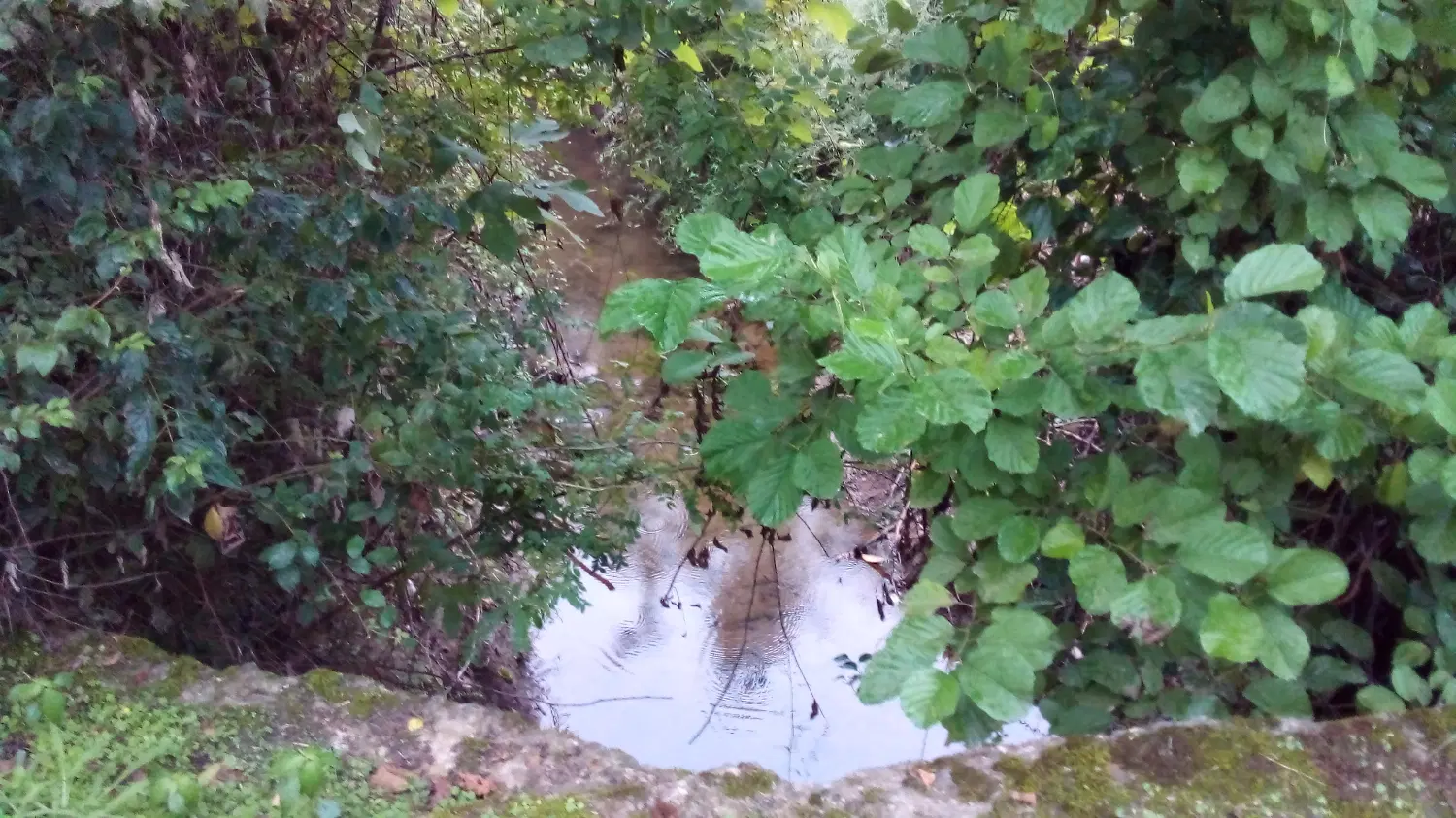 ۱۳۷۳ متر زمین باغی واقع در روستای خسمخ