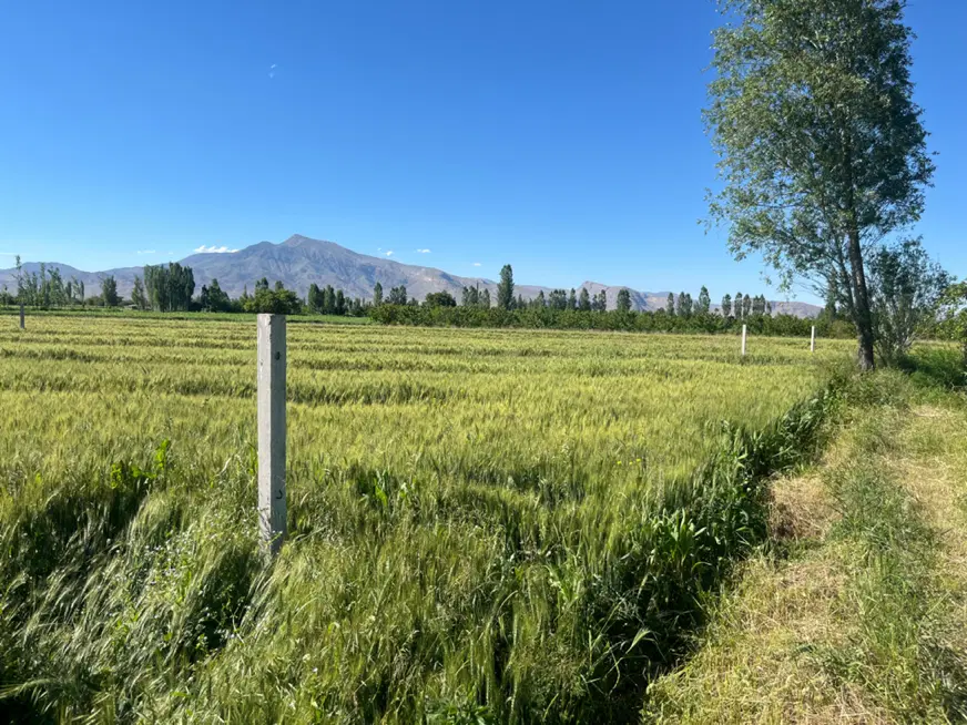 زمین کشاورزی مناسب برای باغ