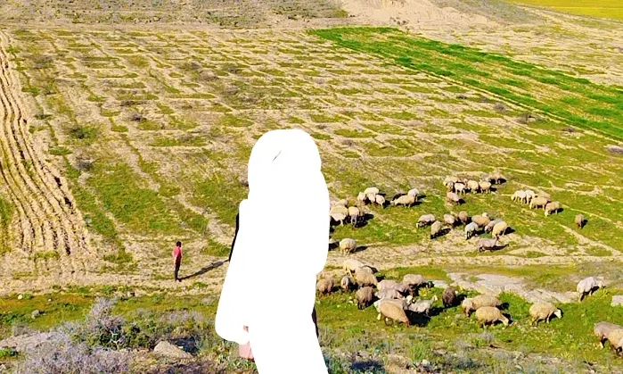 زمین کشاورزی