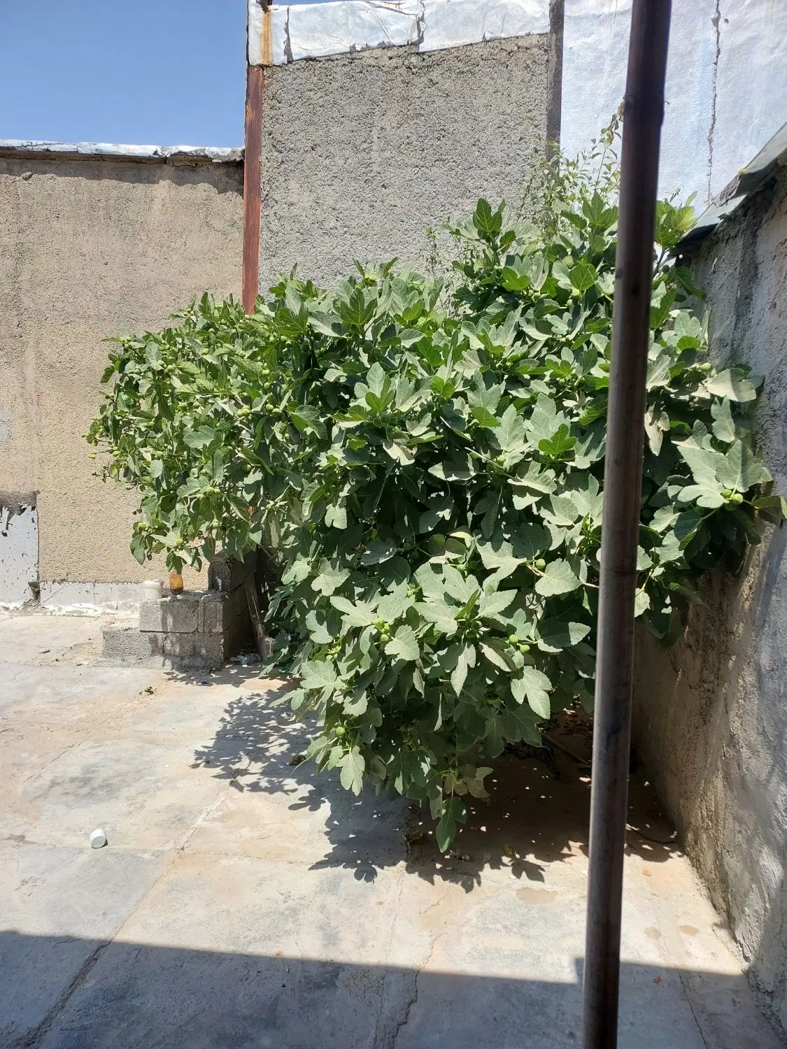 اجاره منزل