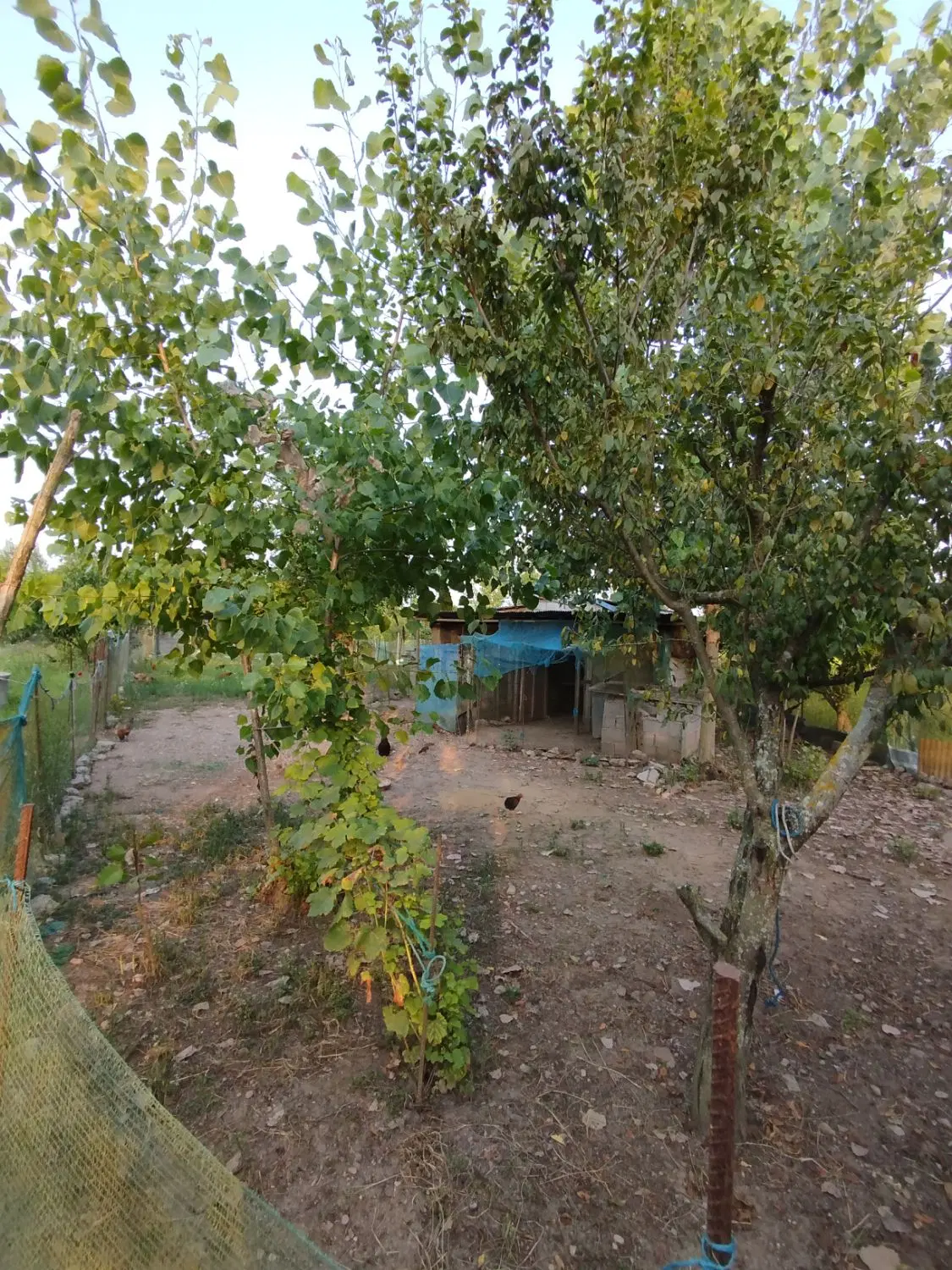 فروش زمین