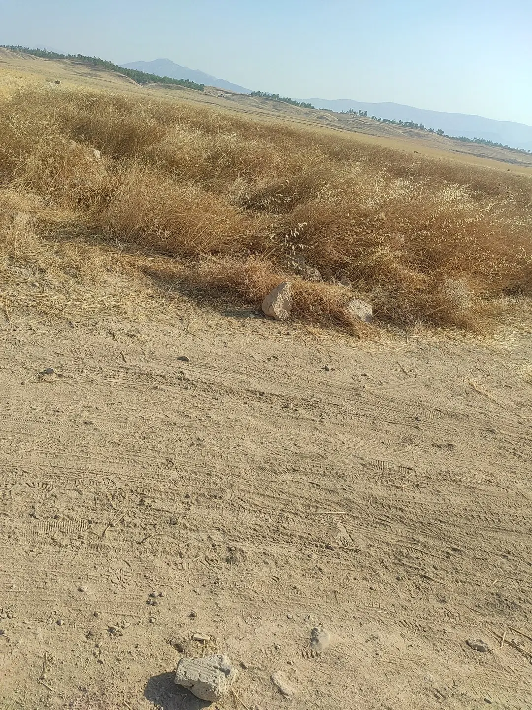 معاوضه زمین با ماشین طلا
