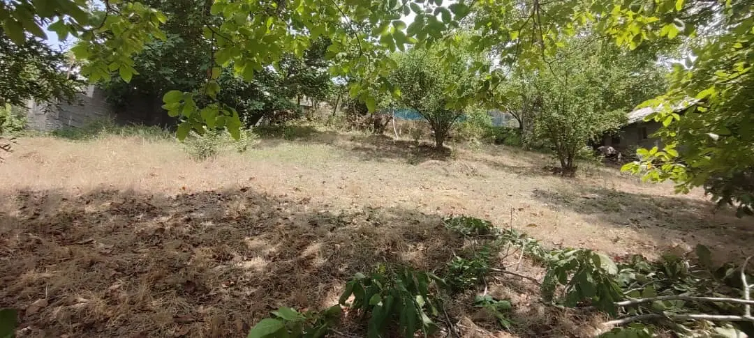 ۵۵۰ متر زمین مسکونی در روستای توریستی رشی