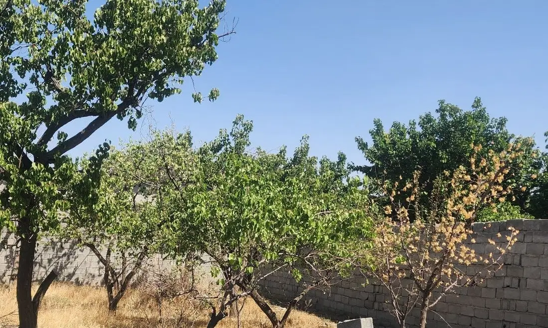 ۲۵۰ متر باغچه خوشنام سند دار