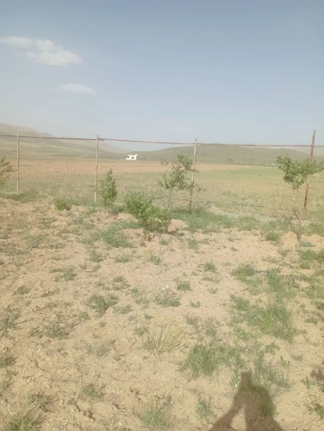 زمین باغی وویلایی