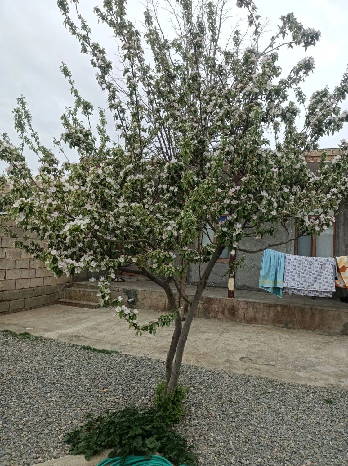 فروش خانه ویلایی