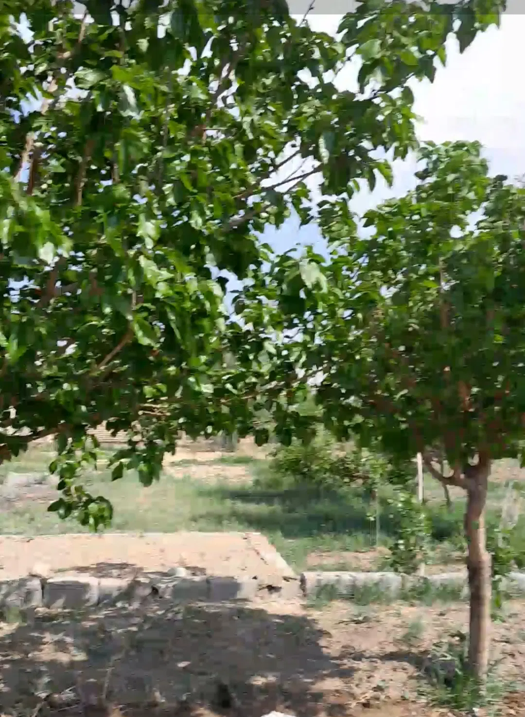 تهاتر