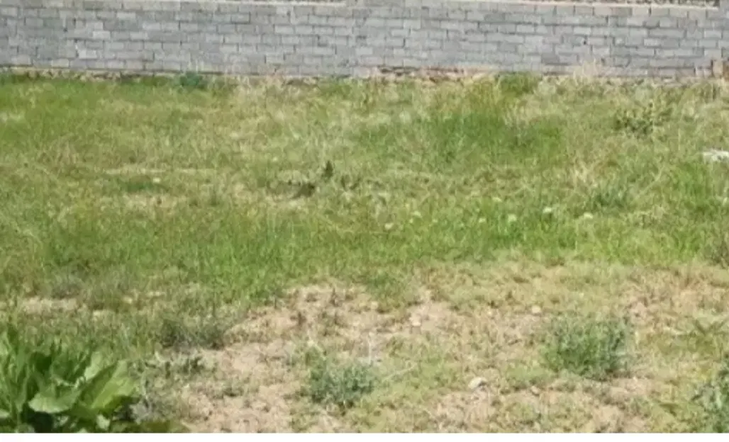 زمین مسکونی در روستای علی بلاغی