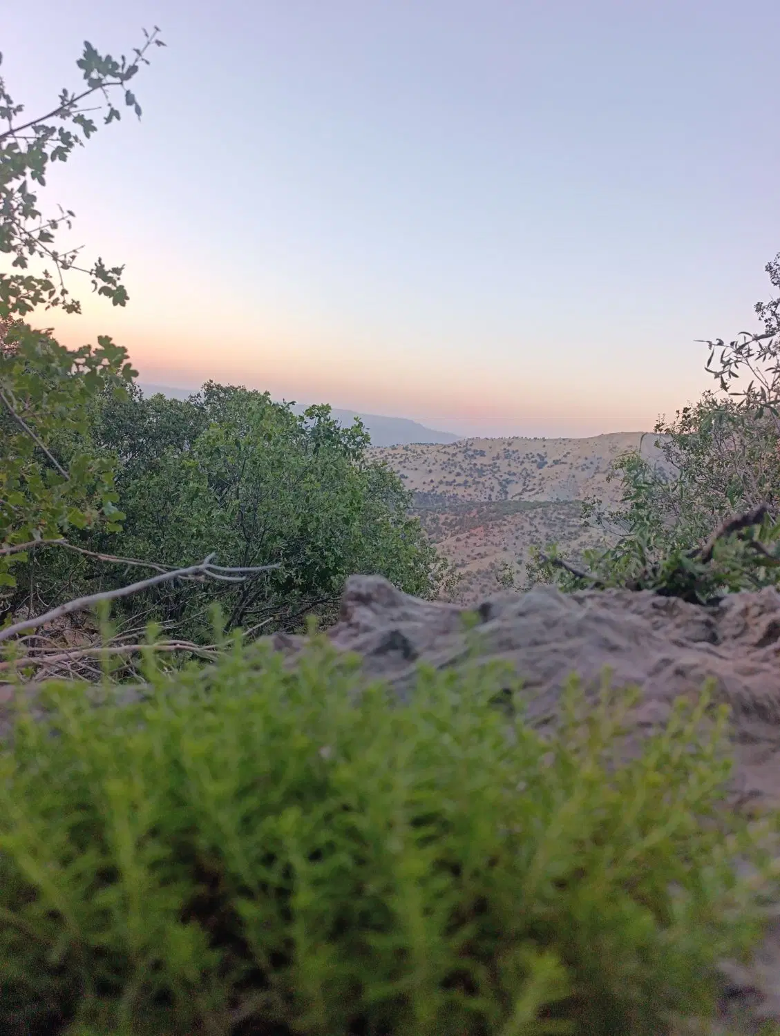 زمین هانیوان