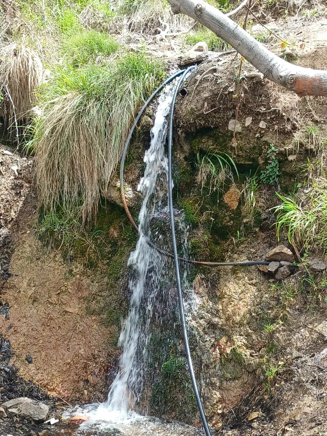 زمین دهبکری روستای بید جنگل