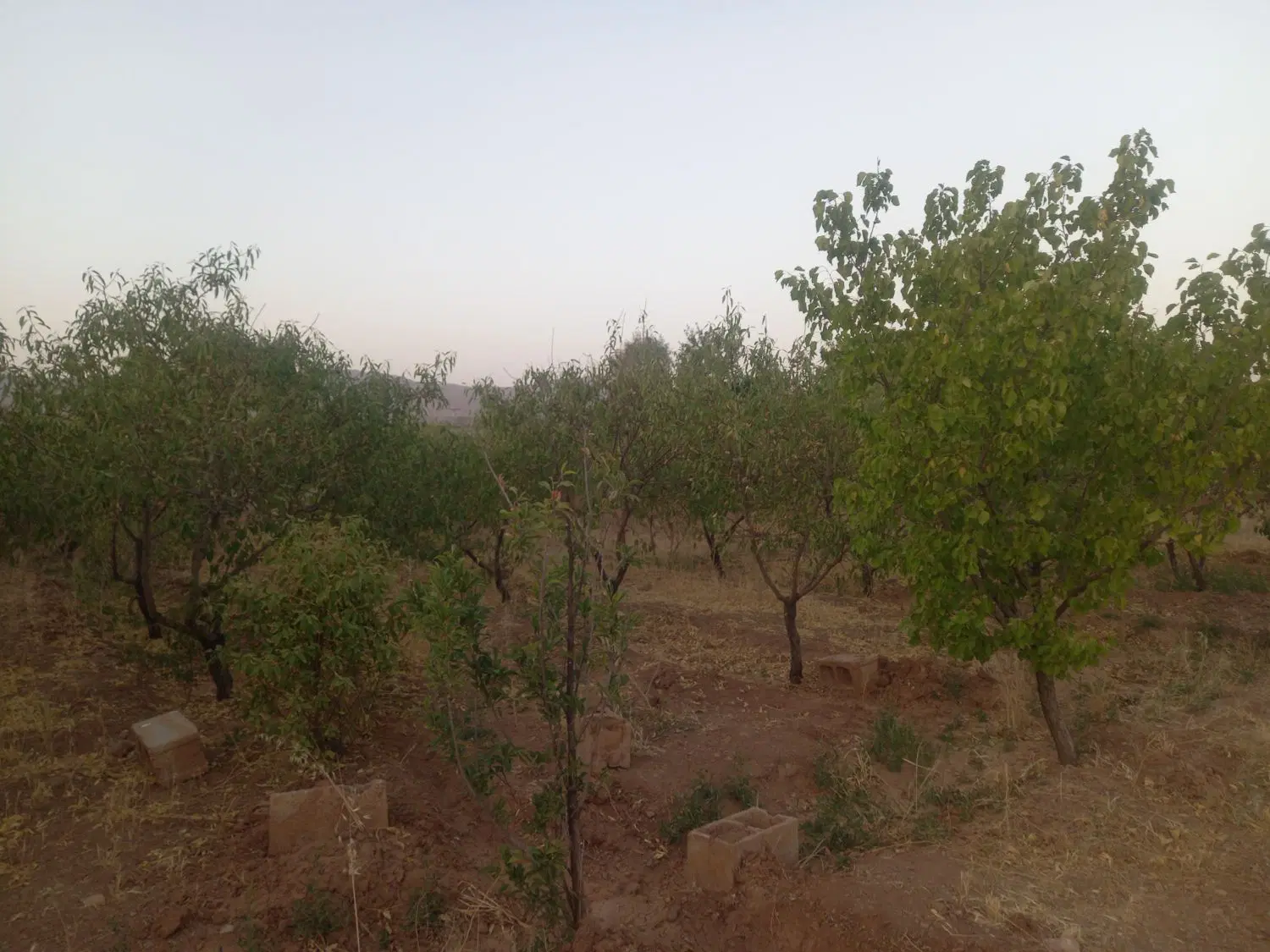 فروش زمین