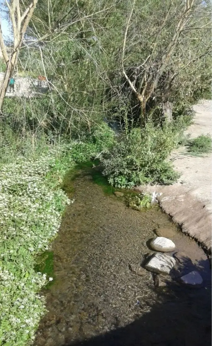زمین محمدآباد مسکون