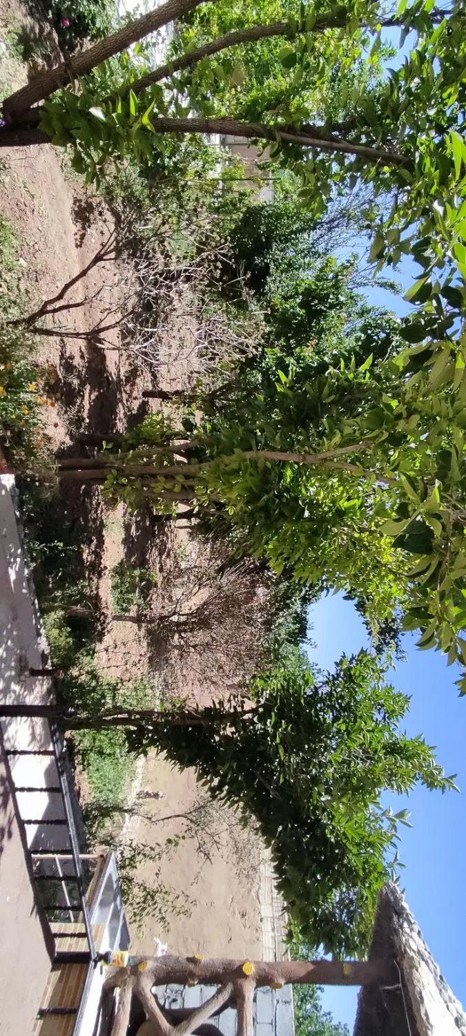 باغ ویلا ۷۰۰ متری قلعه سفید