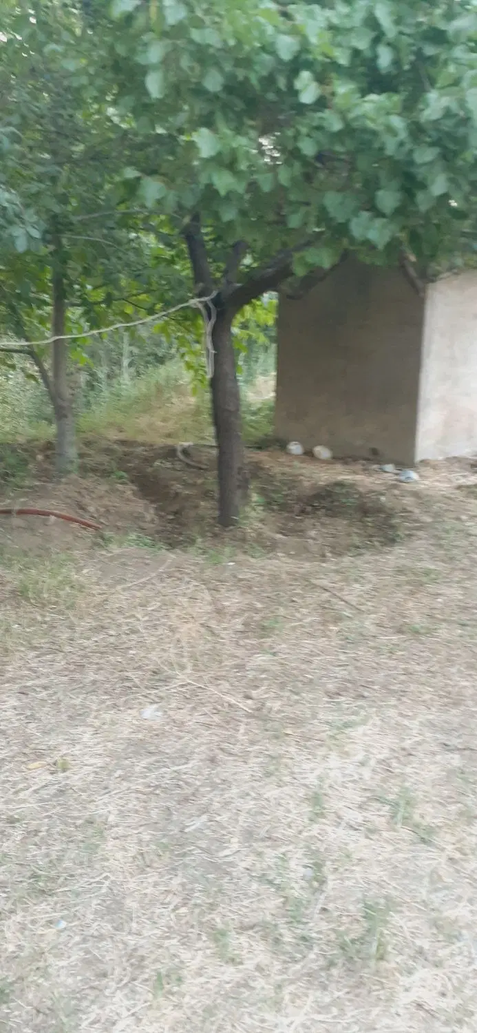 زمین وباغ  روستای سیمین زاغه همراه خانه۴۸متری