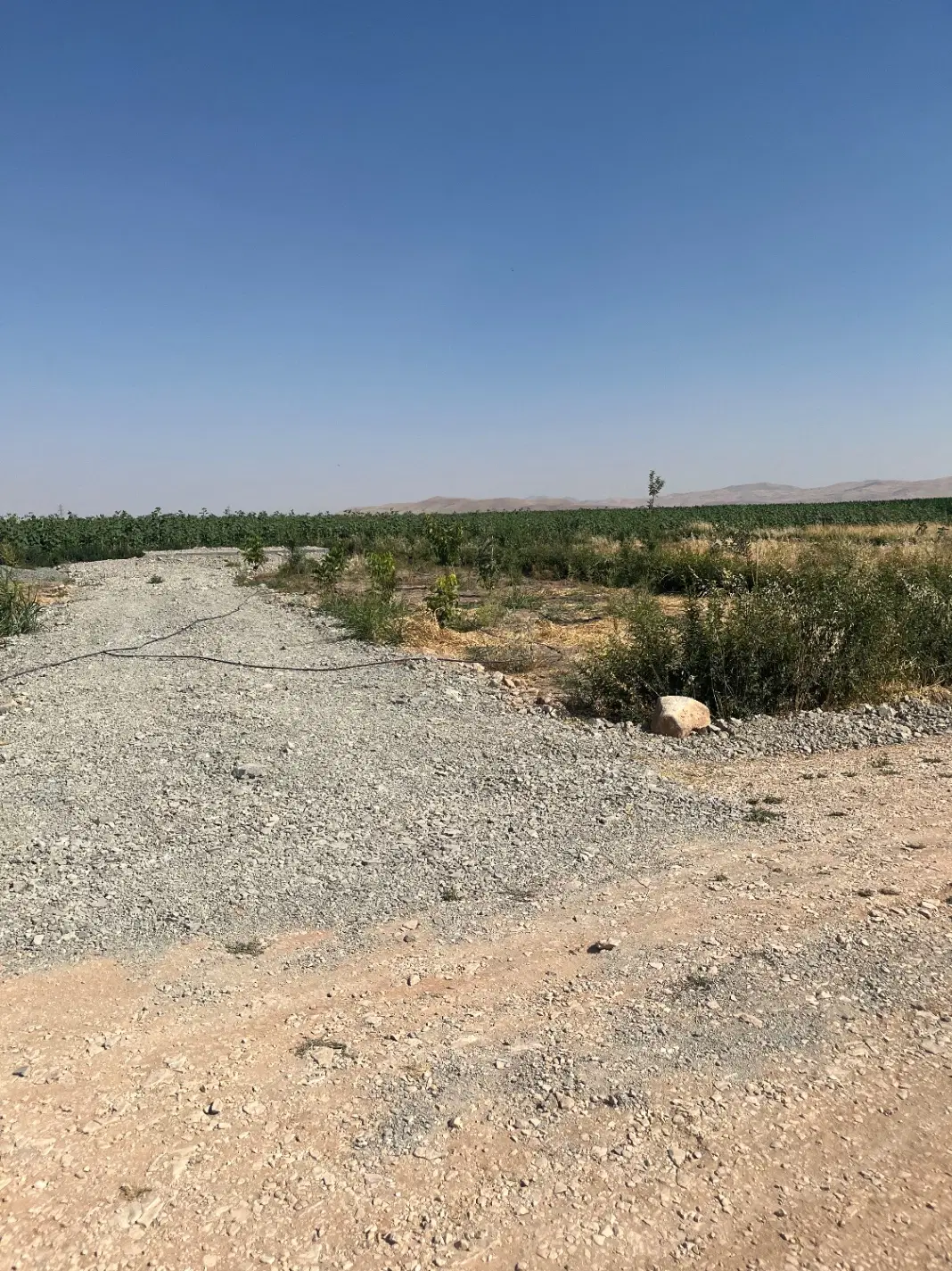 زمین