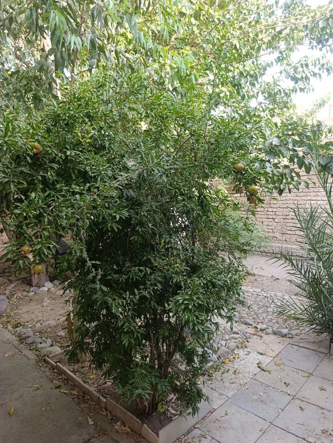 اجاره ۱۵۰ متر ویلایی۳ خواب  تخلیه واوان