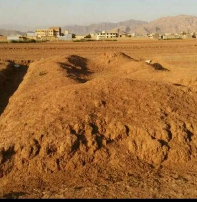 زمین تلوری سفلا