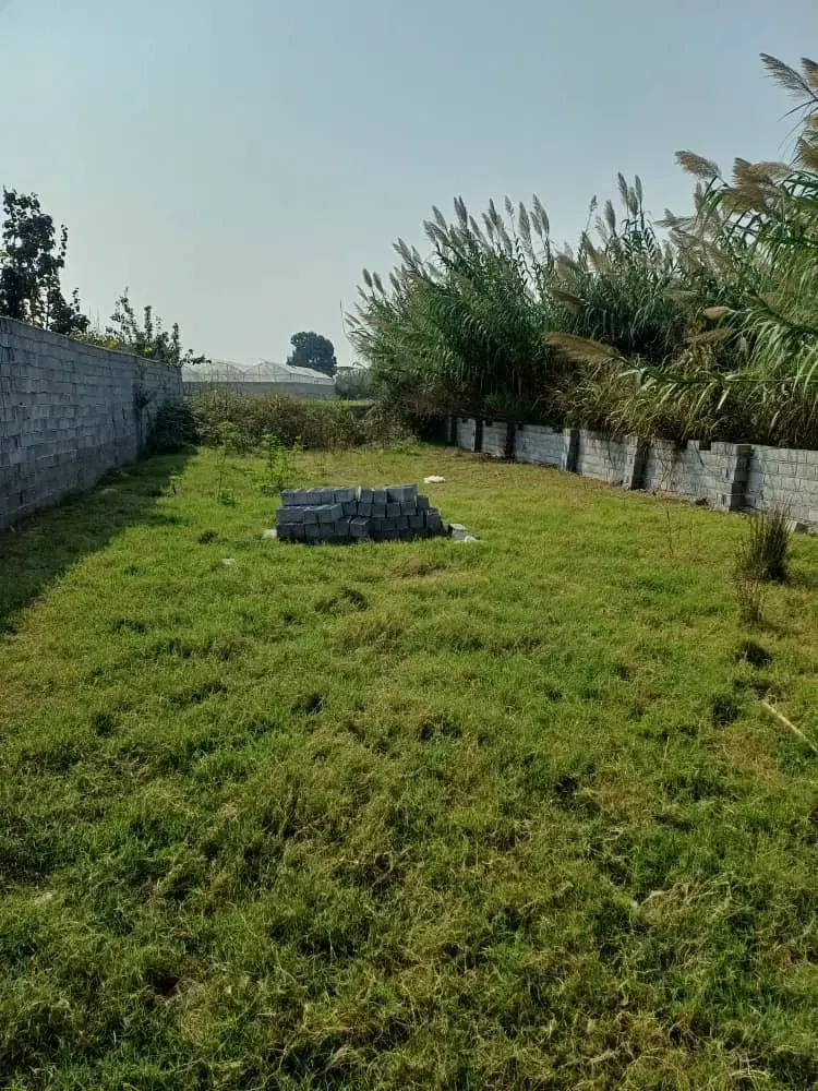 دو قطعه زمین ۳۰۰ متری