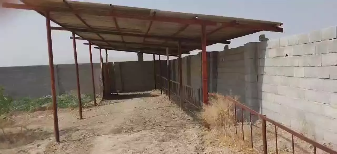 باغ پسته و زمین کشاورزی