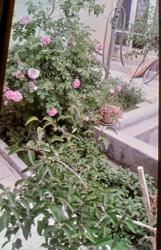 ملک کلنگی آماده ساخت