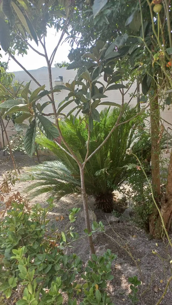 ۲۳۰ مترزمین، ۱۳۰ متر بنا